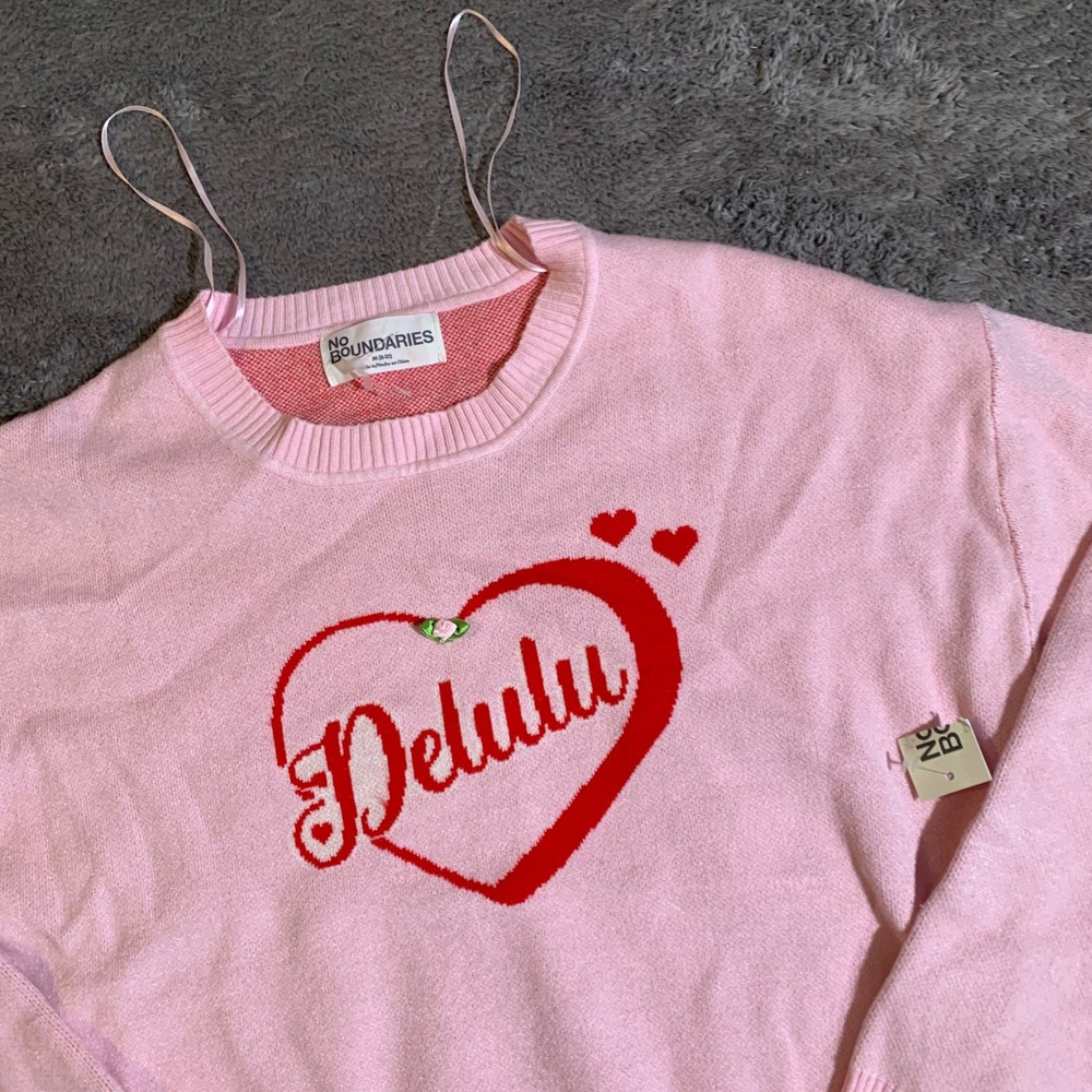 No Boundaries‎ Delulu Heart Graphic Pink Knit Sweater Womens Medium NWT